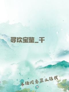 寻欢宝鉴