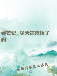 寻芒记