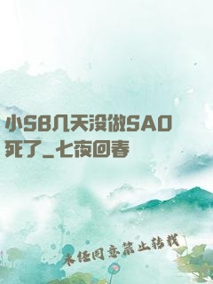 小SB几天没做SAO死了