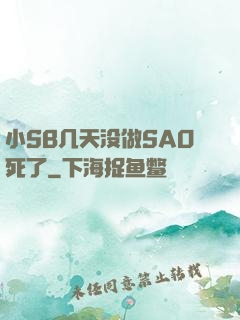 小SB几天没做SAO死了