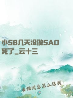 小SB几天没做SAO死了