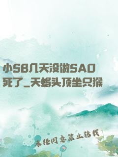小SB几天没做SAO死了