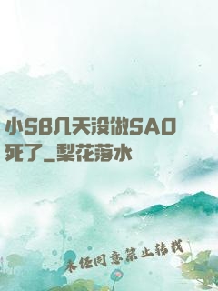 小SB几天没做SAO死了
