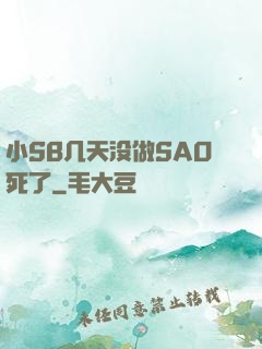 小SB几天没做SAO死了