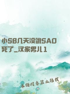 小SB几天没做SAO死了