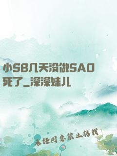 小SB几天没做SAO死了