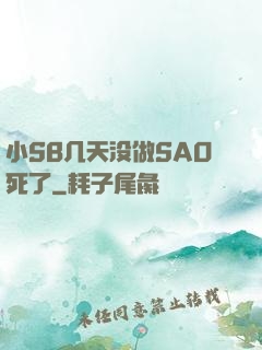 小SB几天没做SAO死了
