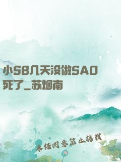 小SB几天没做SAO死了