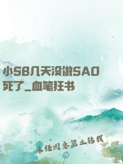 小SB几天没做SAO死了