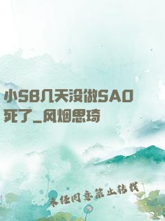 小SB几天没做SAO死了