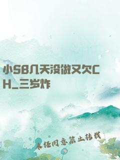 小SB几天没做又欠CH