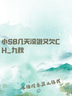 小SB几天没做又欠CH