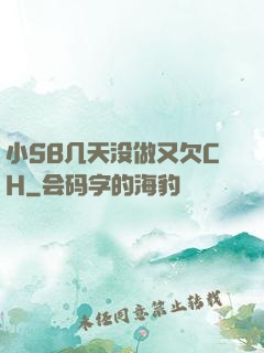 小SB几天没做又欠CH
