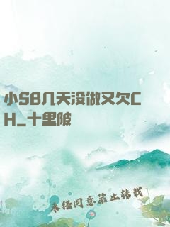 小SB几天没做又欠CH