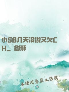 小SB几天没做又欠CH