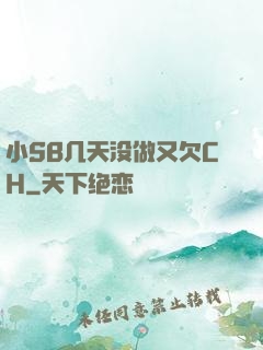 小SB几天没做又欠CH