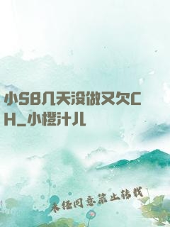 小SB几天没做又欠CH