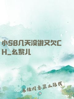 小SB几天没做又欠CH