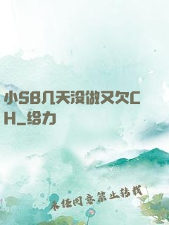 小SB几天没做又欠CH