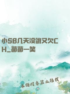 小SB几天没做又欠CH