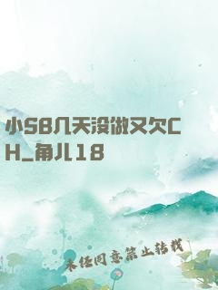 小SB几天没做又欠CH