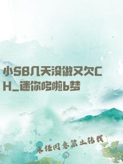 小SB几天没做又欠CH