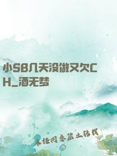 小SB几天没做又欠CH