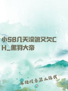 小SB几天没做又欠CH