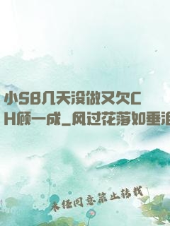 小SB几天没做又欠CH顾一成