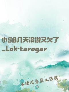 小SB几天没做又欠了