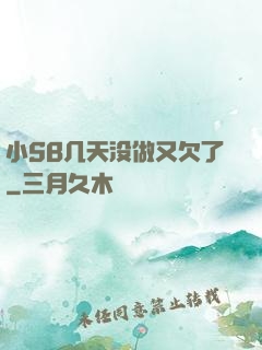 小SB几天没做又欠了