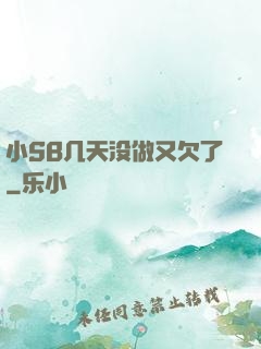 小SB几天没做又欠了