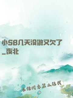 小SB几天没做又欠了