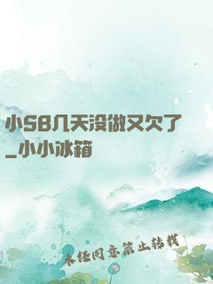 小SB几天没做又欠了