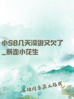 小SB几天没做又欠了