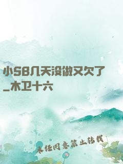 小SB几天没做又欠了