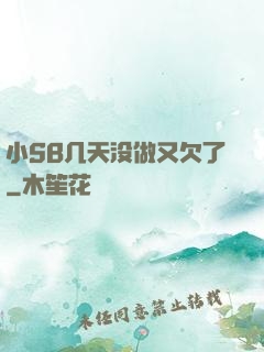 小SB几天没做又欠了