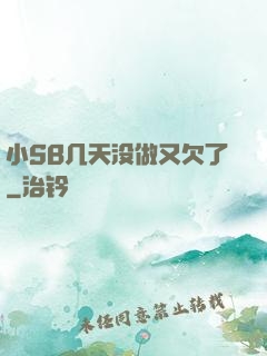 小SB几天没做又欠了