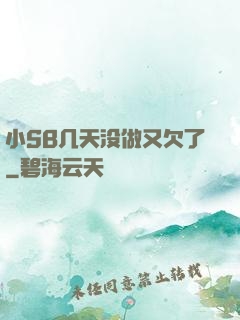小SB几天没做又欠了