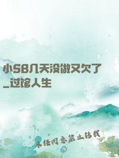 小SB几天没做又欠了