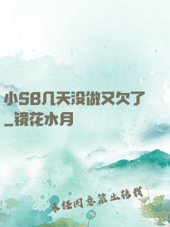 小SB几天没做又欠了