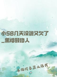 小SB几天没做又欠了