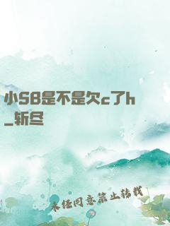 小SB是不是欠c了h