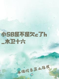 小SB是不是欠c了h