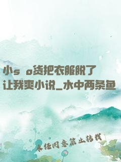 小sαo货把衣服脱了让我爽小说