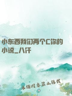 小东西我们两个C你的小说