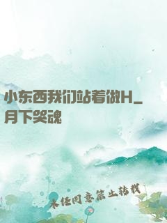 小东西我们站着做H