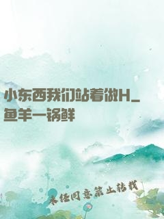 小东西我们站着做H