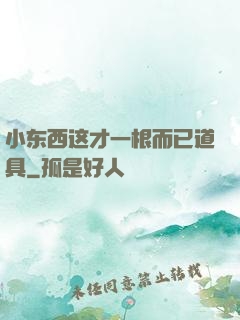 小东西这才一根而已道具
