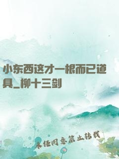 小东西这才一根而已道具